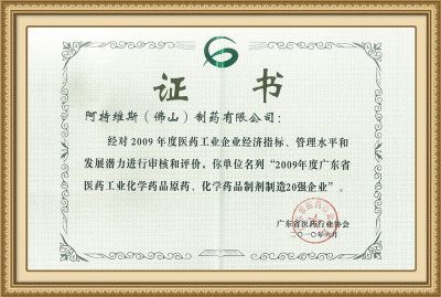 2009广东省制造20强企业