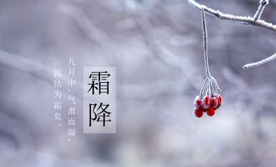 手心温馨提示:霜降到!做好这三个防护,就可以安心过冬了