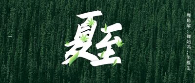 夏至已至| 养生补肾的最佳时机就在此时!不要白白浪费了