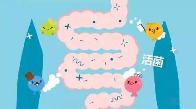 世界肠道日|保护肠道内的益生菌秘诀,居然可以吃出来!