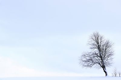 立冬后做好这5点,今年冬天少生病